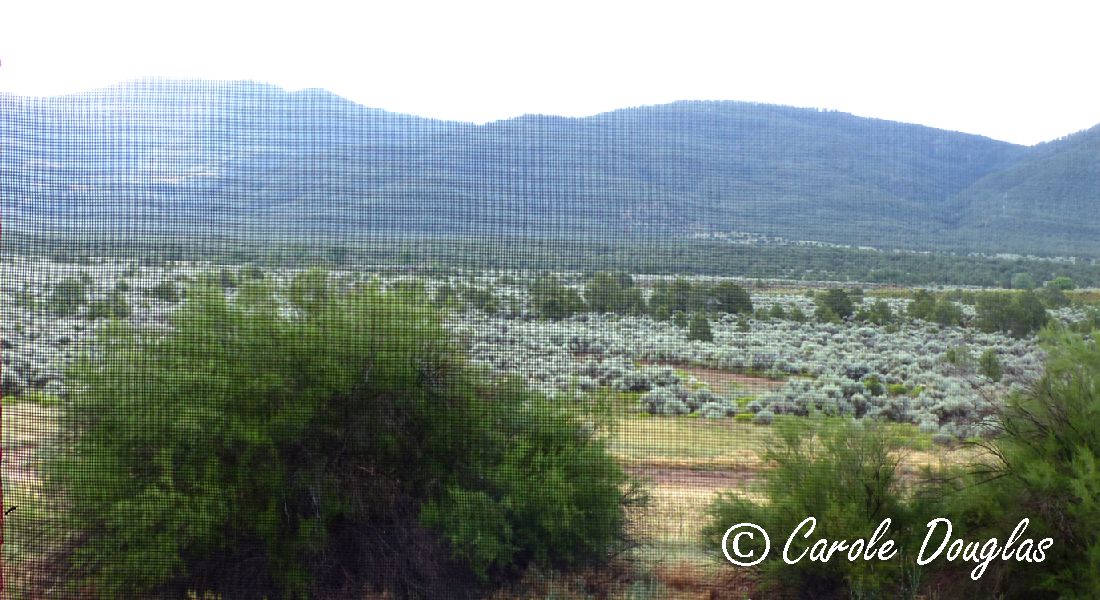 Postcard from New Mexico