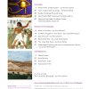 Single Issue Embellish #62 - Image 2