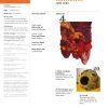 Single Issue Felt #33 - Image 2